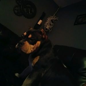 Meet your Posher, Karim